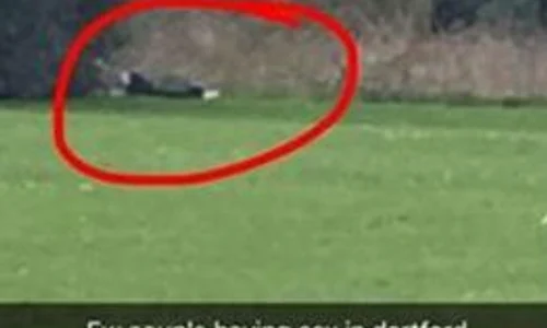 Un cuplu a încins o partidă de sex ziua în amiaza mare jpeg