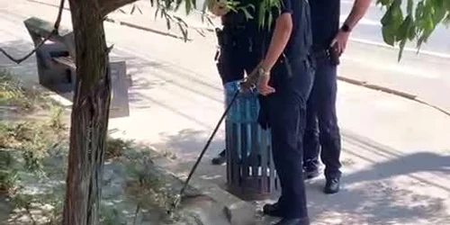 Un şarpe a creat panică în Galaţi 