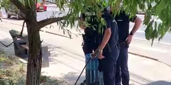Un şarpe a creat panică în Galaţi 