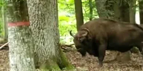 5f09ef305163ec4271e2b625 jpg