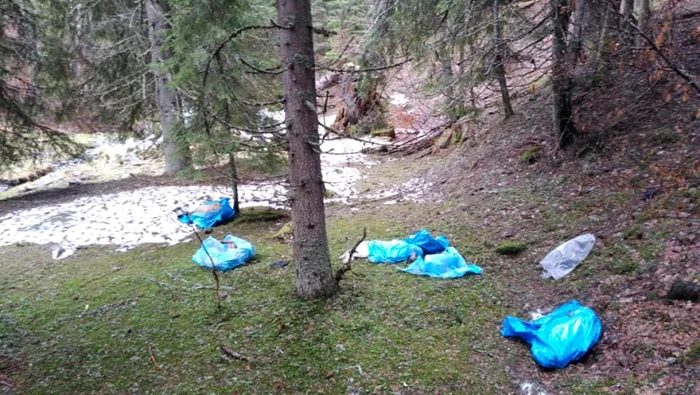 
    27 de câini, printre care 19 pui, au fost omorâți și abandonați în Parcul Național RetezatFoto:  Facebook Grigore Nick  