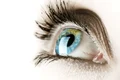 shutterstock 74920081 jpg
