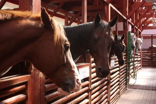 1 71312 original jpg jpeg