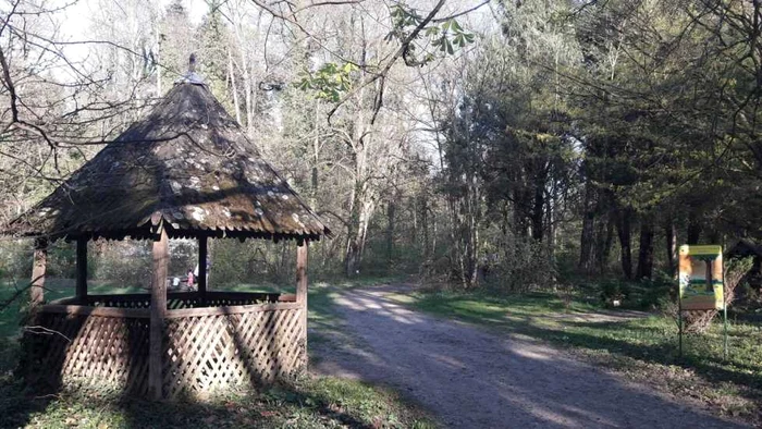 Parcul Ambrozy de la Bazoş FOTO Ştefan Both