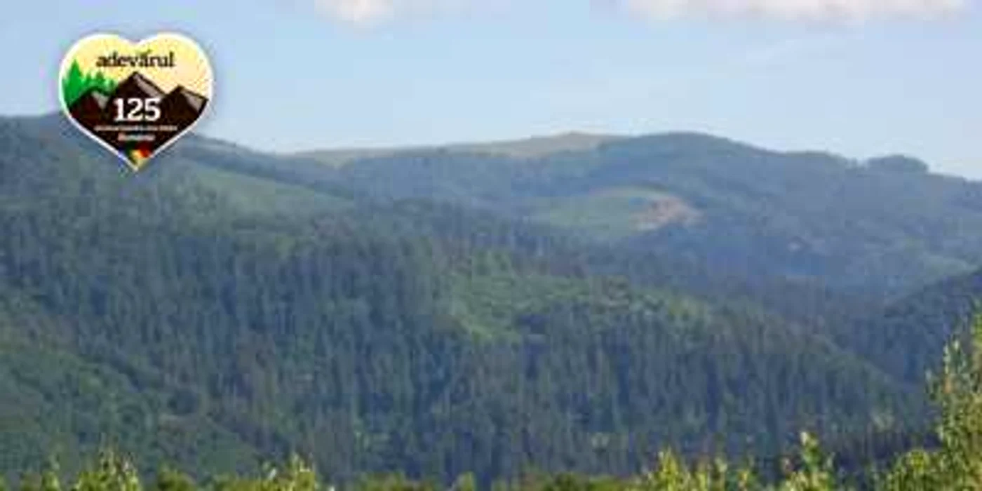 Măreţia Apusenilor de nord-est, Muntele Mare-Gilău FOTO: turistik.ro