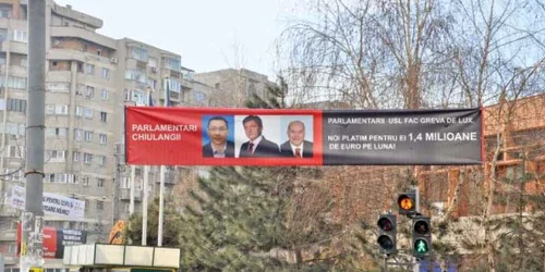 Afişele plătite de  PDL au fost amplasate în puncte strategice  