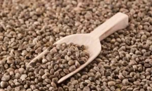 1 68178 original jpg jpeg