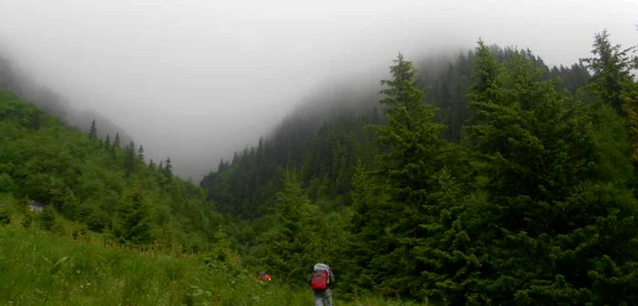 Muntele este imprevizibil în orice anotimp FOTO Adevărul Ploieşti