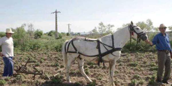 2009, un an catastrofal pentru agricultură