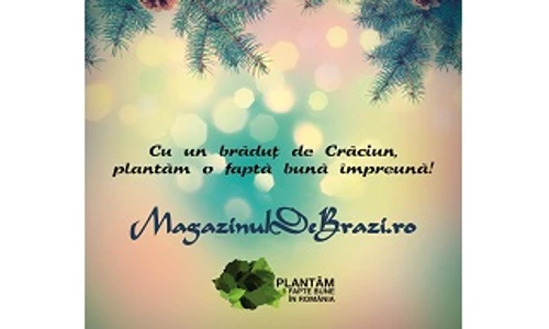 1 60399 original jpg jpeg