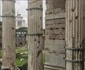 Raluca Lazarut in Roma jpeg