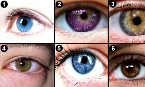 1 sase ochi alg jpg jpeg