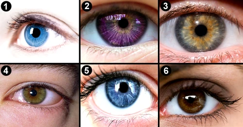 1 sase ochi alg jpg jpeg