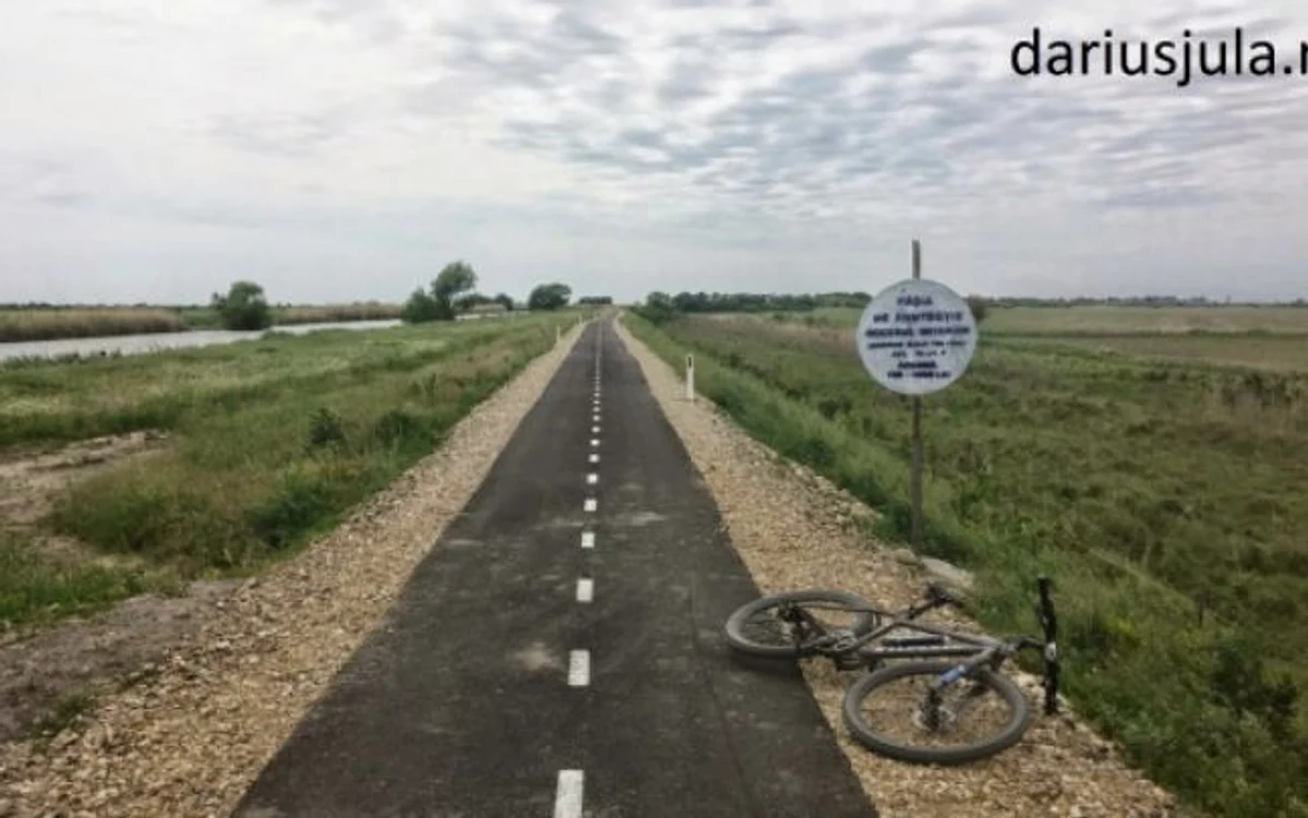 
    Pista care leagă Timișoara de Serbia este o adevărată capcană pentru bicicliștifoto: dariusjula.ro  