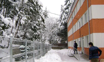 Pompierii severineni au fost chemaţi să taie un pom