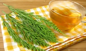 coada calului 0 jpeg