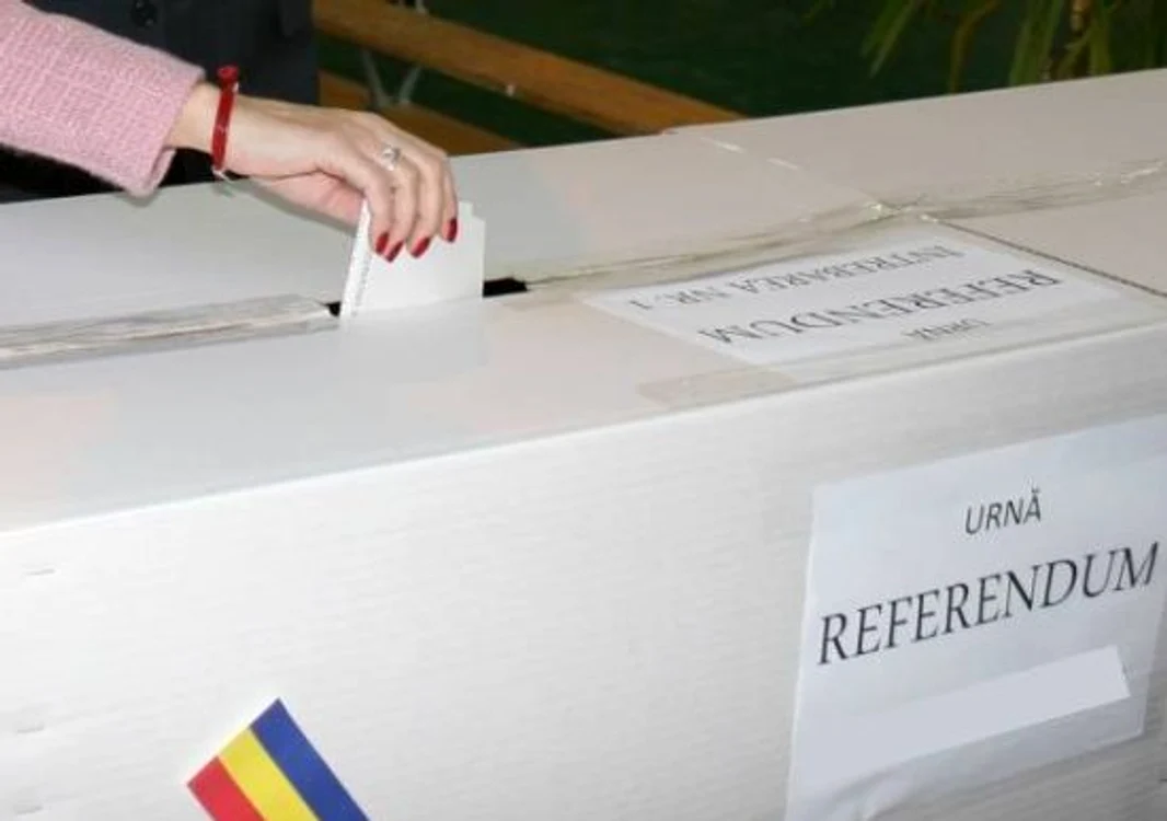 Proces electoral cu reclamaţii, la Referendumul 2012