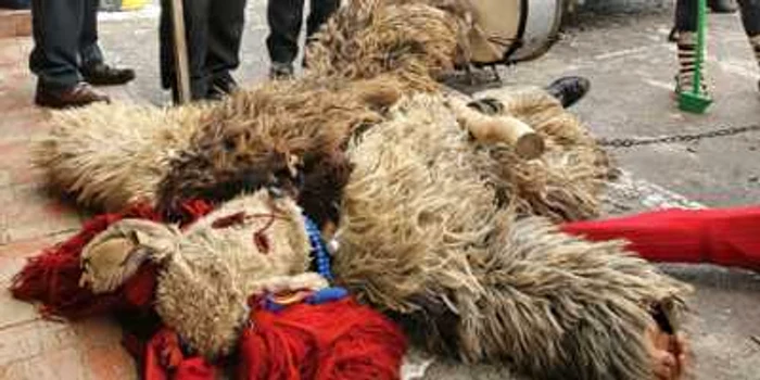 Mascatul nu a mai putut fi salvat