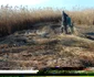 Insula Ceaplace de pe lacul Sinoe din Delta Dunării consolidată pentru pelicanul creţ Sursa ARBDD