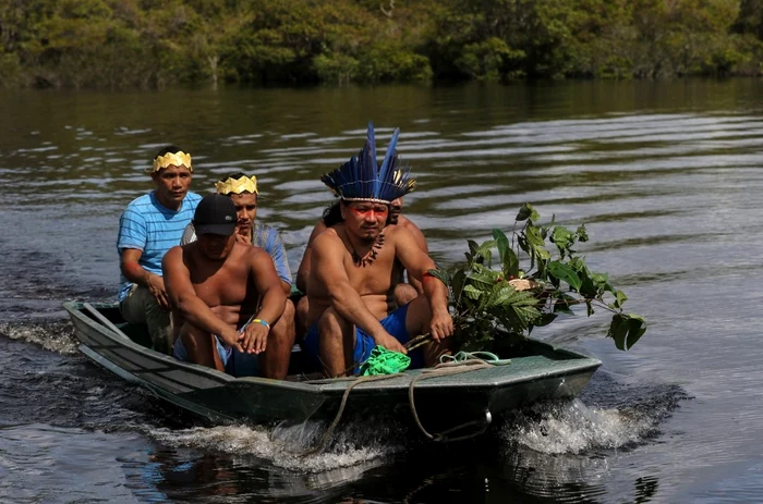 
    Indigenii din Brazilia se bazează pe plantele medicinale în lupta cu noul coronavirusfoto: AFP  