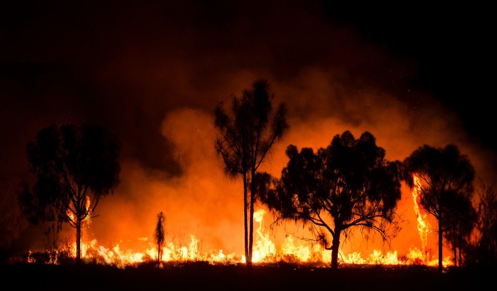Incendiu de amploare în Vâlcea; ard peste 100 de hectare de vegetaţie uscată