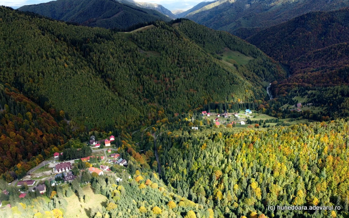 Râușor. Foto: Daniel Guță