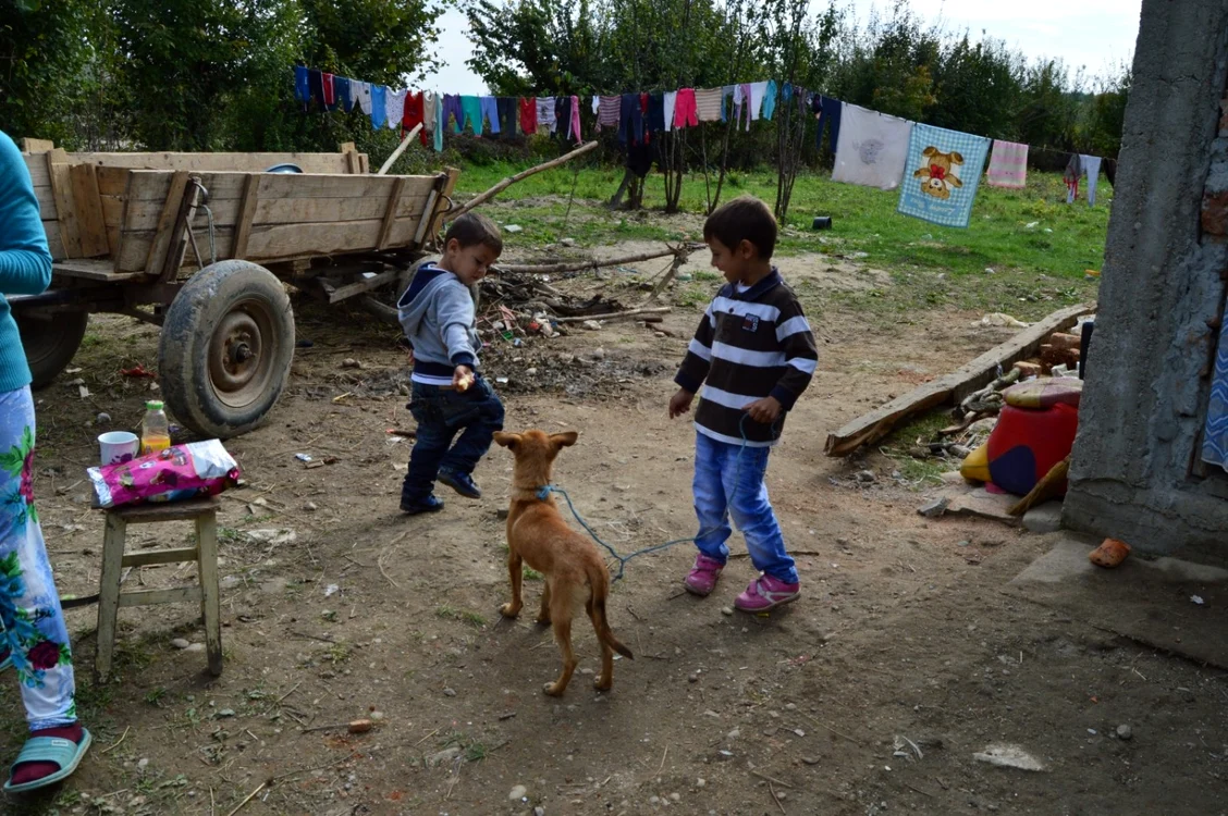 FOTO: Adevărul