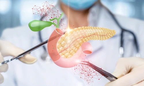 1 shutterstock 1490240909 jpg jpeg