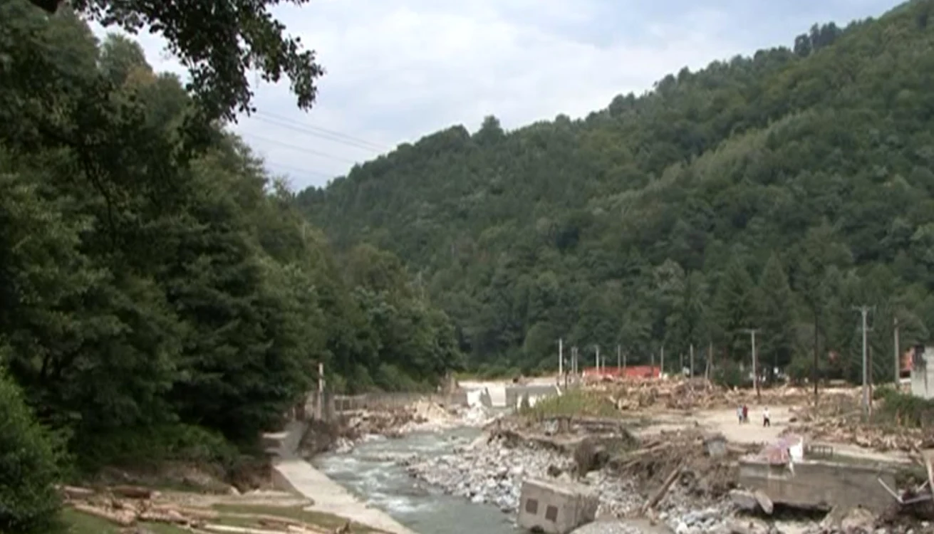 Craniile au fost găsite pe marginea drumului forestier recent amenajat