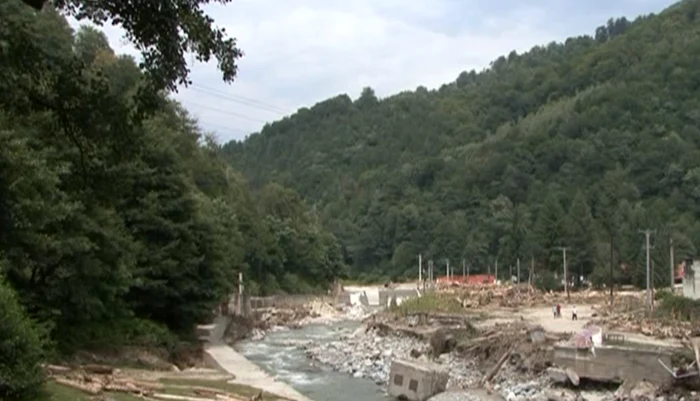 Craniile au fost găsite pe marginea drumului forestier recent amenajat