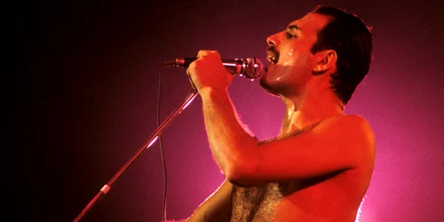 Freddie Mercury  foto   Profimedia jpeg