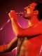 Freddie Mercury  foto   Profimedia jpeg