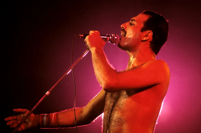 VIDEO Freddie Mercury a avut o fiică secretă. Misterul, dezvăluit într-o biografie: „Am avut o relaţie apropiată şi plină de iubire, m-a adorat”