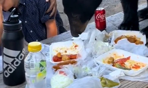 urs la picnic 2 jpg