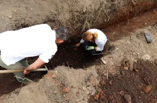 Unelte medievale din corn. FOTO Arheologie Medievală în Târgoviște / Facebook
