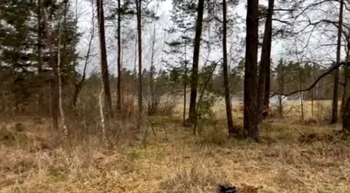 Tu câți soldați ucraineni vezi în imagine! Nimeni nu nimerește răspunsul. Foto: captură twitter