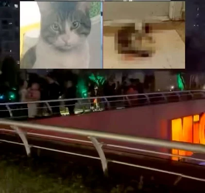 Mai mulți activiști au asistat la şedinţa de judecată de miercuri. FOTO Facebook Antonio Prencipe