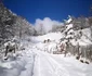 Fundătura Ponorulului iarna foto codrut adrian