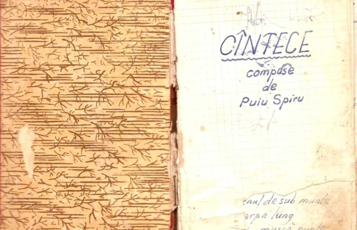 Manuscris La Chilia-n port