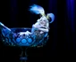Dita von Teese 45 de ani (16) jpeg