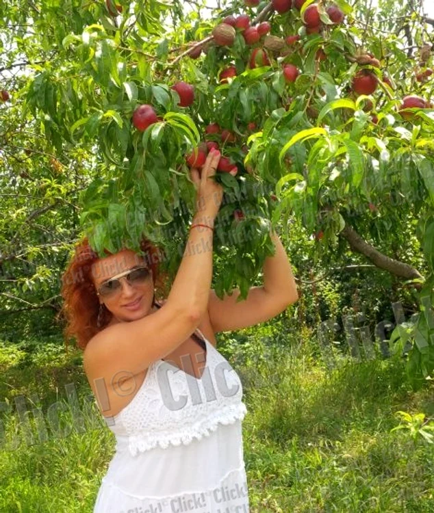 Mihaela Borcea cultivă legume acasă