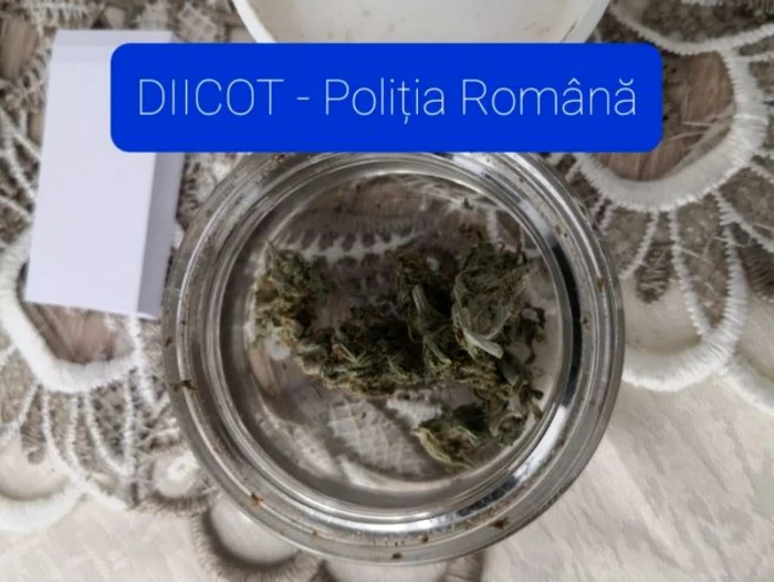 Poliţiştii au prins o reţea de tineri care vindea cannabis pe străzile Botoşaniului FOTO DIICOT