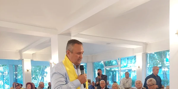 ciuca seniorii pnl jpg