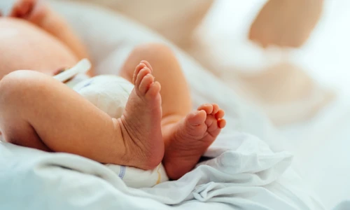 shutterstock 1892200891 jpg