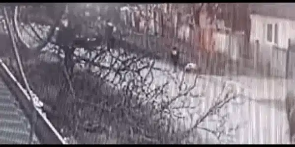 masina gif gif