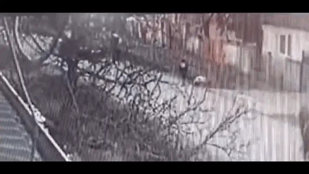 Bărbat din Bihor condamnat la 12 ani de închisoare pentru că și-a lovit vecinul cu mașina, în timp ce acesta ținea în spate copilul de 2 ani