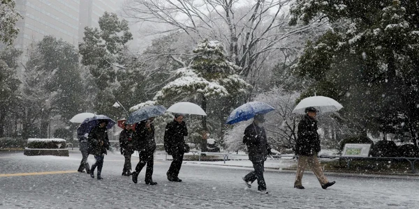 Iarna la Tokyo