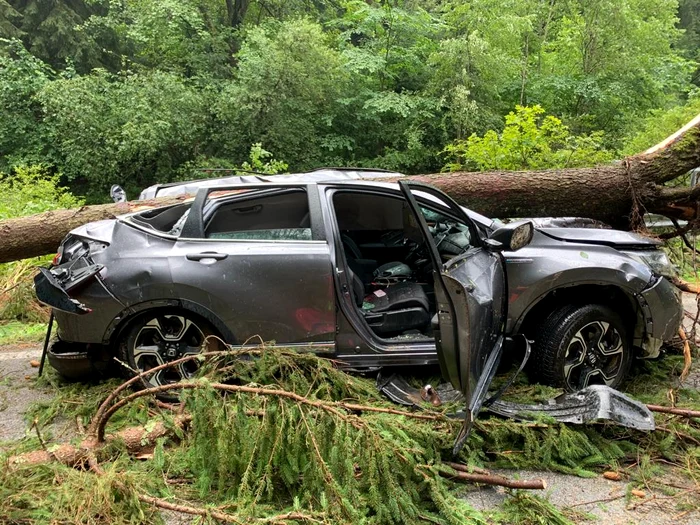 Arborele a căzut frontal peste autoturism FOTO ISU Alba