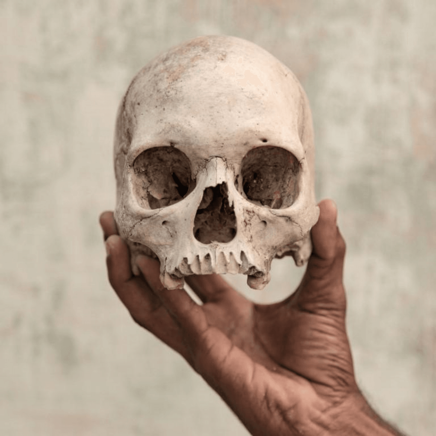 Contur serie porumb Cei mai buni fotografi, premiaţi în cadrul Sony World Photography Awards 2019 | adevarul.ro Contur serie porumb Cei mai buni fotografi, premiaţi în cadrul Sony World Photography Awards 2019 | adevarul.ro