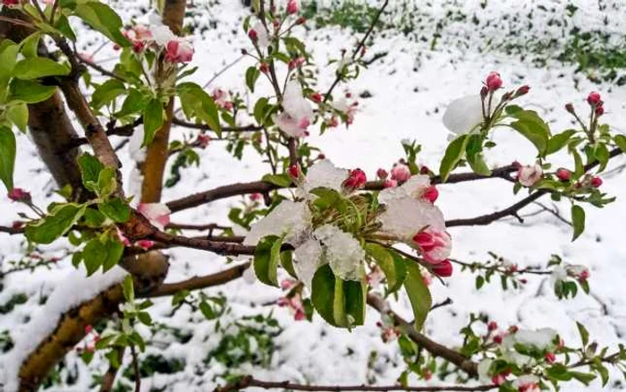 
    Zilele acestea va fi mult mai frig decât ar fi normal la această dată, dar de joi, 26 martie, se va încălzi treptatFoto: adevarul.ro  